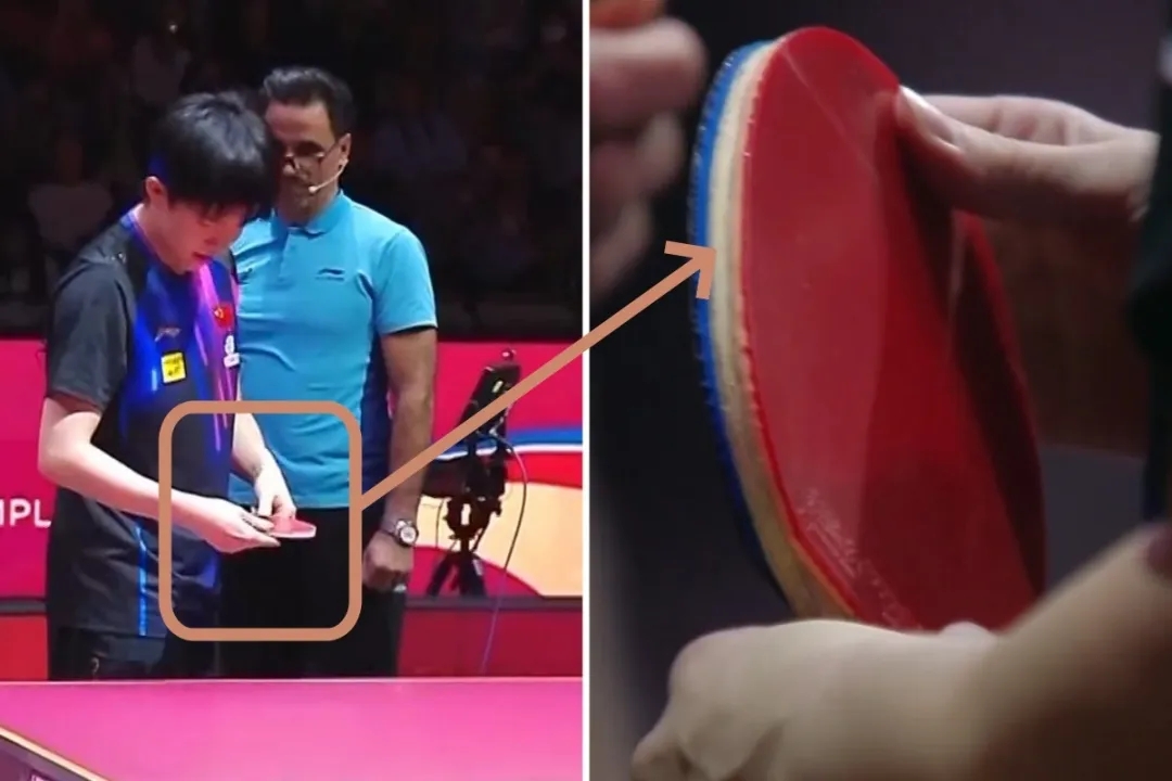 谈球吧体育app官网程靖淇谈王楚钦球拍受损：主裁应首先被调查，该给王楚钦一个道歉